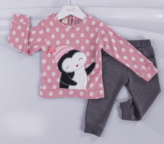 Tracksuit set for girl's up to 2 years of age