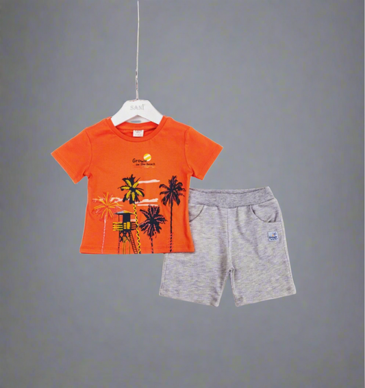 Boy's T-Shirt and short set sizes from 2Y to 4Y