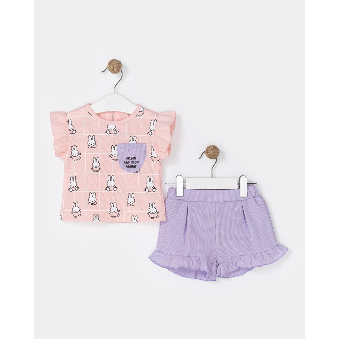 Wholesale Baby Girls 2-Piece T-Shirt And Shorts Set 9-24M