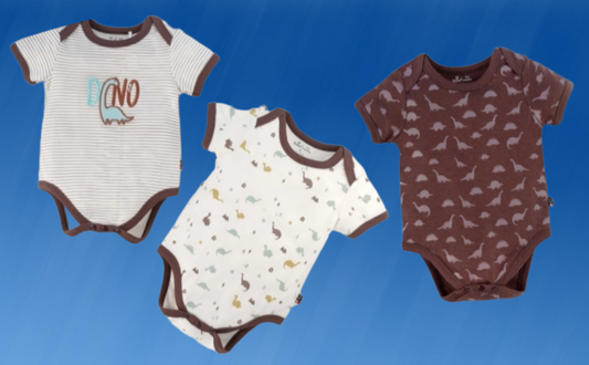 Organic cotton 3PC Bodysuit set Boy's, sizes range from NB to 24M